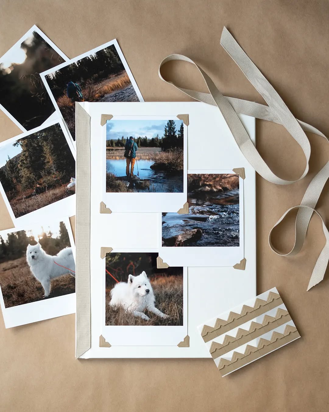 309045787_788290405710346_5485532409570260280_n