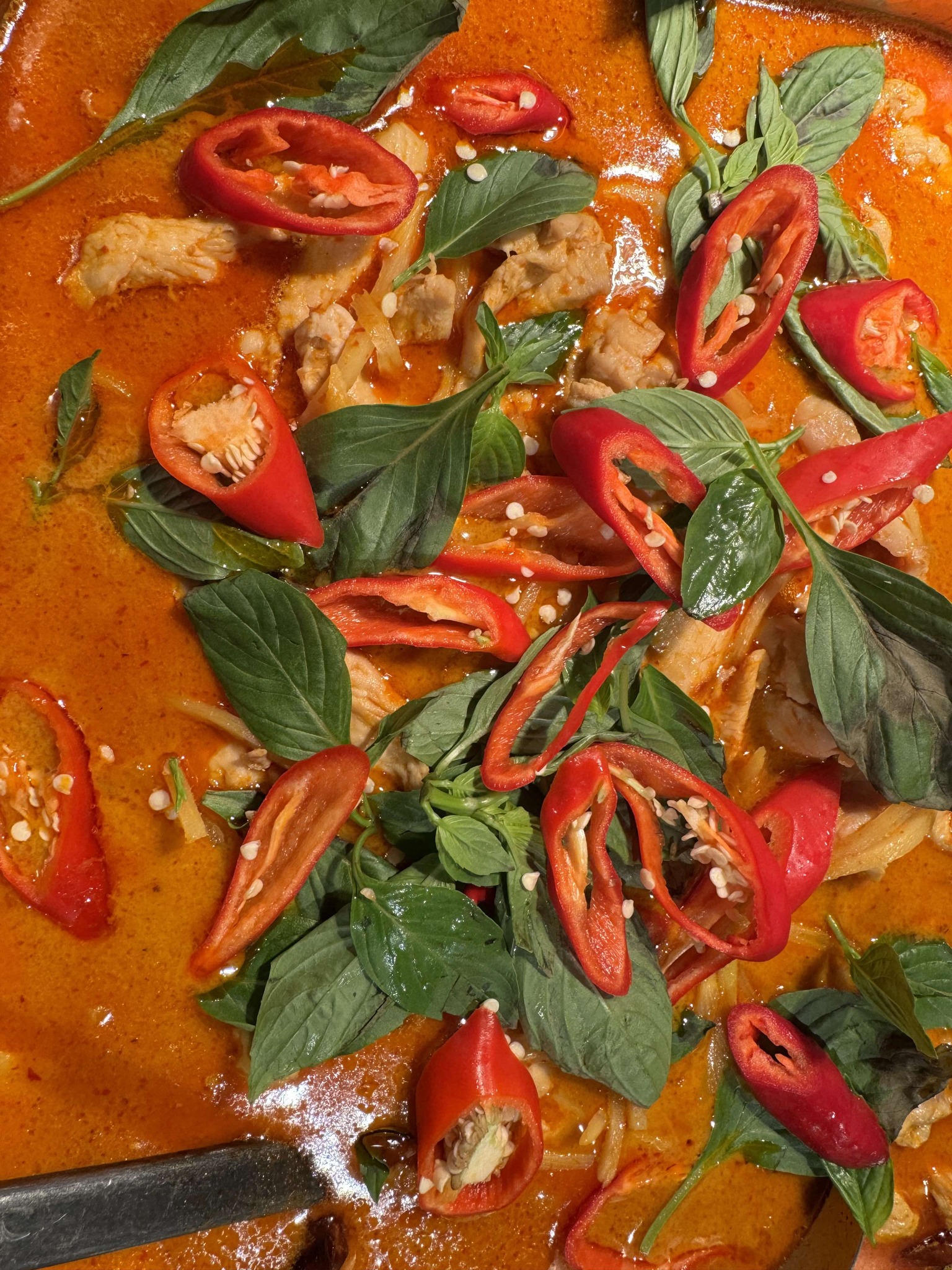 461290625_1447101966242983_7154734915396782326_n