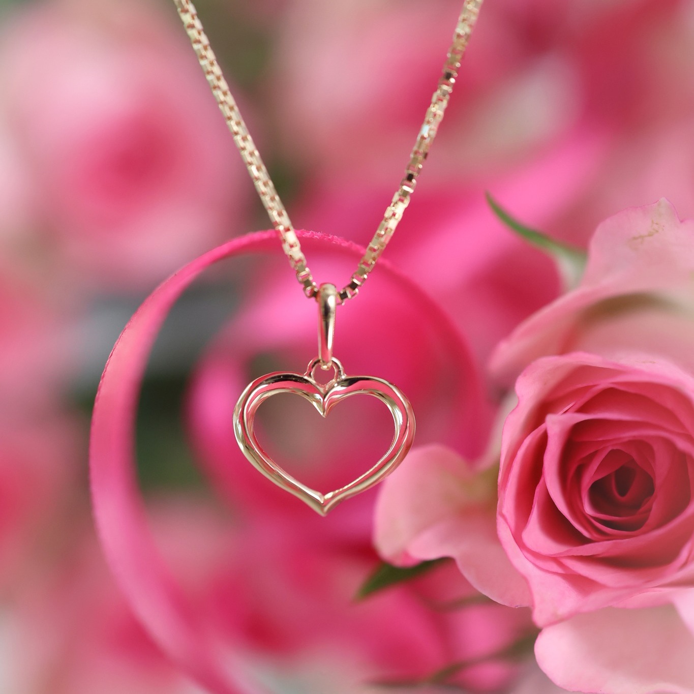 474568318_1024508986381807_1568190043473269675_n