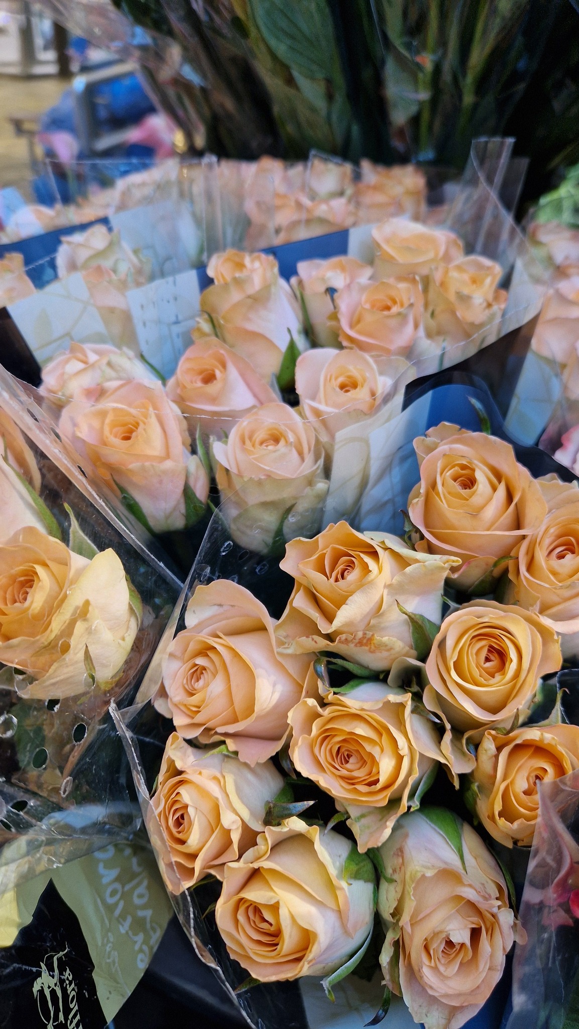 475101466_1374974740437789_1330982322928338190_n